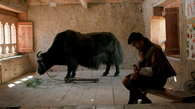 lunana yak in the classroom